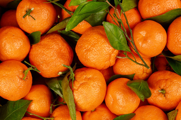 mandarini arancioni con foglie da vicino
. - Foto, immagini
