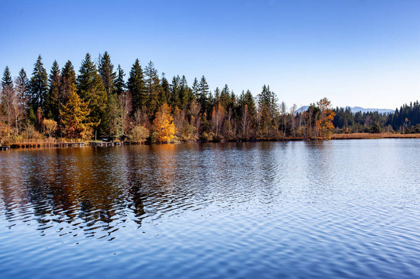 W środku rezerwatu przyrody Ellbach-Kirchseemoor leży Kirchsee, jedno z najpiękniejszych jezior Bawarii. - Zdjęcie, obraz
