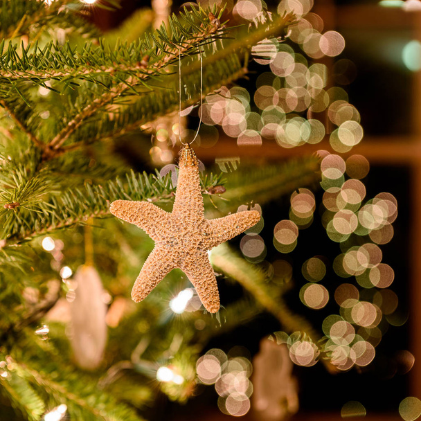 Hvězdice ornament na vánočním stromě - Fotografie, Obrázek