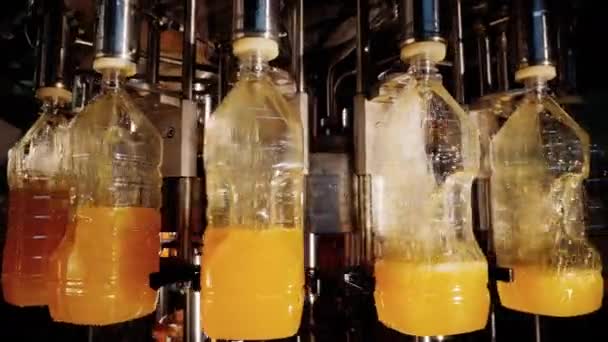 Automated production and bottling drinks on conveyor line of industrial factory - Video, Çekim
