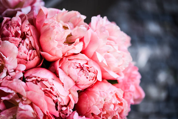 belle peonie rosa naturali da vicino
 - Foto, immagini