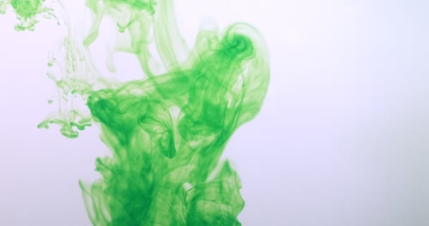 Beyaz arka planda suya yeşil renkli mürekkep damlıyor. Su altında mürekkep bulutu akıyor. Soyut izole bulutlu duman patlaması - Video, Çekim