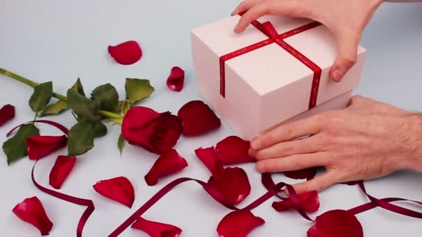 Punainen ruusu ja ruusun terälehtiä kevyellä taustalla... Ystävänpäivä, rakkauden käsite. Miesten kädet avaavat valkoisen laatikon. punainen sydän laatikossa
 - Materiaali, video