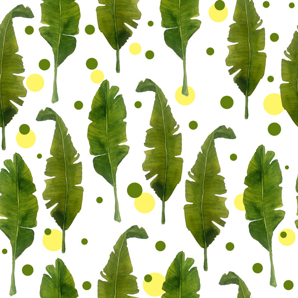 watercolor seamless pattern banana leaves vegetation. Green leaf leaves lush tropical exotic foliage deleicate elegant greenery isolated elements for composition design natural organic trendy - Foto, afbeelding