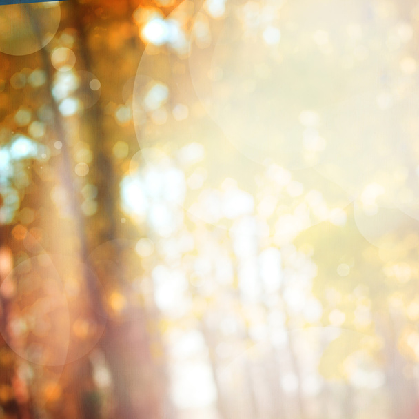 Abstract autumn background with bokeh. Colorful banner. Background with place for your text. - Photo, Image