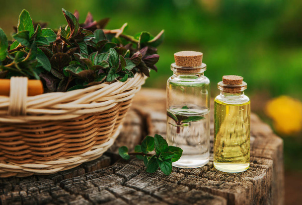 Mint oil and fragrant essence in small bottles with peppermint l - Photo, Image
