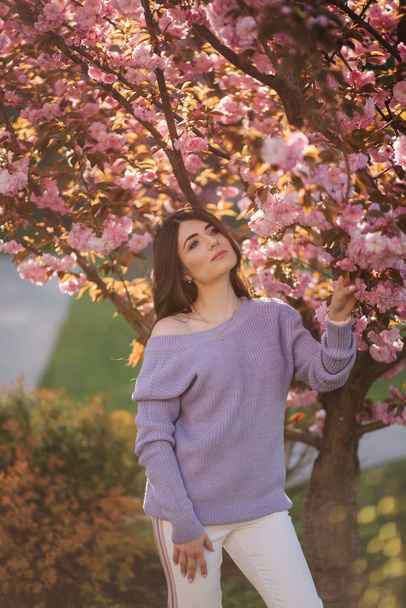 Attractive young woman in a purple sweater stand in front of sakura tree in the park - Foto, afbeelding