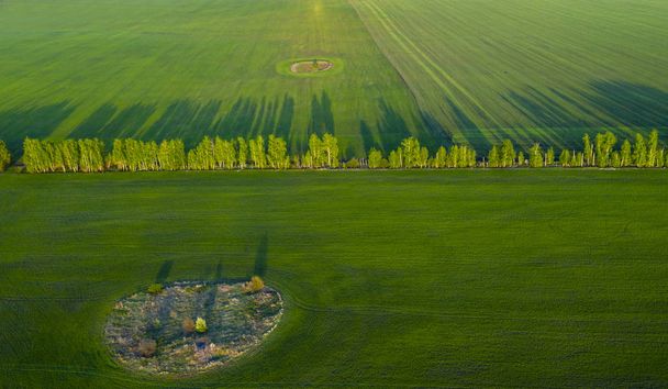 Весняні поля, довгі тіні від посадки на заході сонця з квадрокоптера
 - Фото, зображення