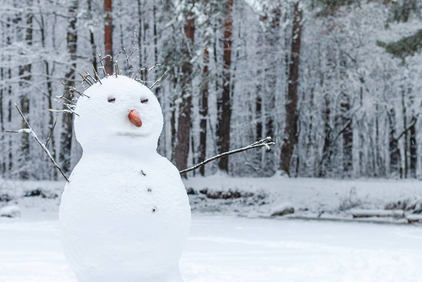 un segmento de un muñeco de nieve en un bosque
 - Foto, imagen