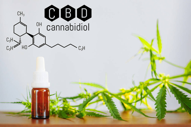 Cannabis oil, CBD oil cannabis extract, Medical marijuana. Medic - Photo, image