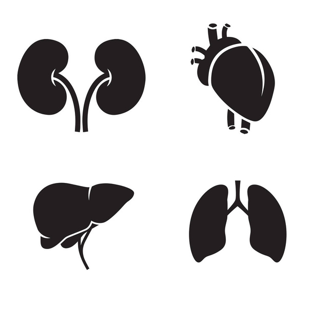 Liver, heart, kidney, lungs. Human body parts, inner organs icon set. Vector art. - Wektor, obraz