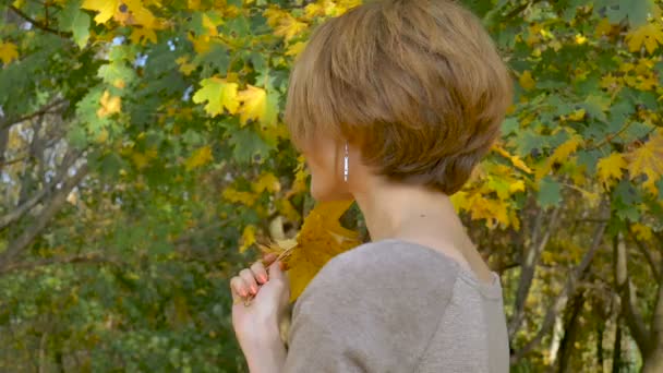 Emocionální atraktivní mladá žena s blond krátké vlasy a oblékání šaty drží kytice podzimních listí nad hlavou a pózování v krásném parku venku - Záběry, video