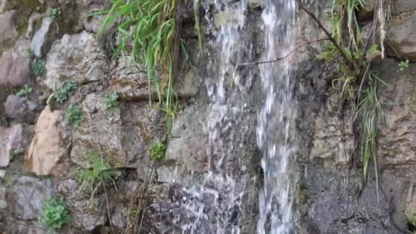 A stream of water flows and falls from a rocky cliff overgrown with vegetation. Slow motion - Séquence, vidéo