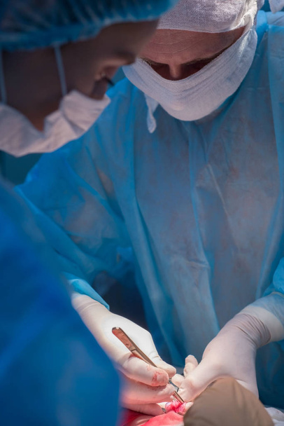Дитячі хірурги проводять урологічну хірургію. Чоловік і жінка в масці, і синя стерильна сукня, в операційній кімнаті
. - Фото, зображення