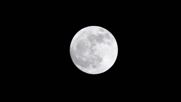 Pleine lune brillante dans la nuit noire, la nuit et la lune
, - Séquence, vidéo