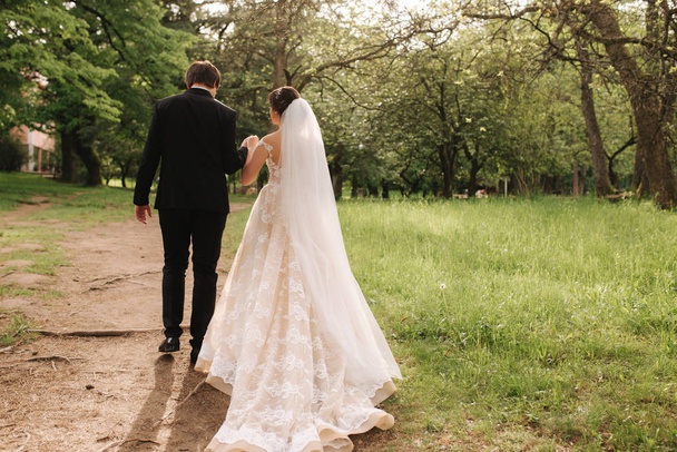 Rückansicht von Bräutigam und Braut beim Spazierengehen im Wald - Foto, Bild