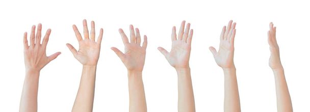 Set of Caucasian female hands gesturing and raising up over head isolated on white background. - Photo, Image