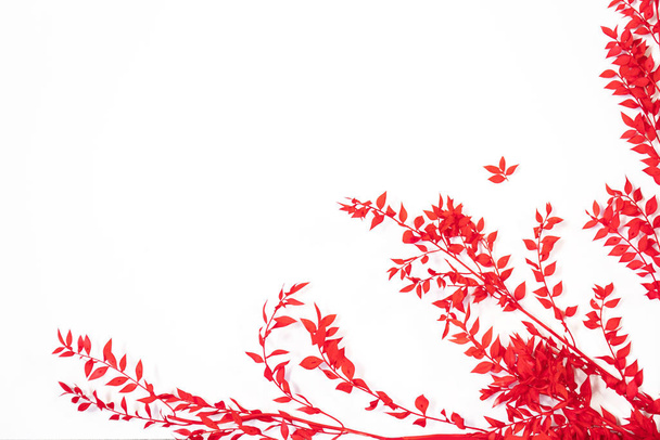 frame with red leaves on white background. Flat lay, top view - Foto, immagini