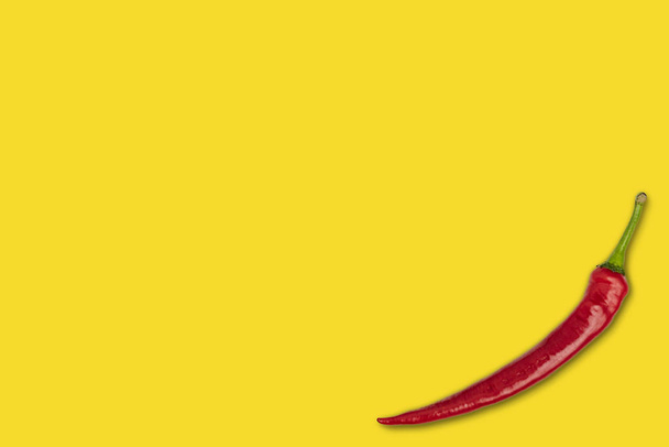 piros csípős paprika lapos feküdt elszigetelt a lapos felületen, minimalista koncepció, pasztell szín - Fotó, kép