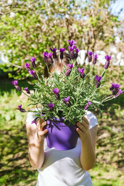 Egy lány levendulával a kertben. Családi kertészkedés tavasz koncepció - Fotó, kép