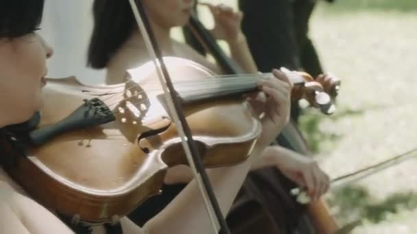 Girl violinist playing the violin outdoors. Green leaves backgound. Close up. Musician playing. - Metraje, vídeo