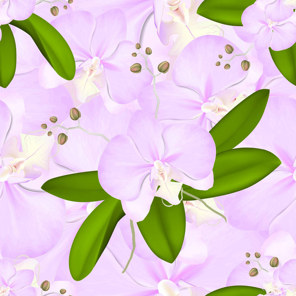 緑の葉のシームレスなパターンを持つピンクの蘭の花 - ベクター画像