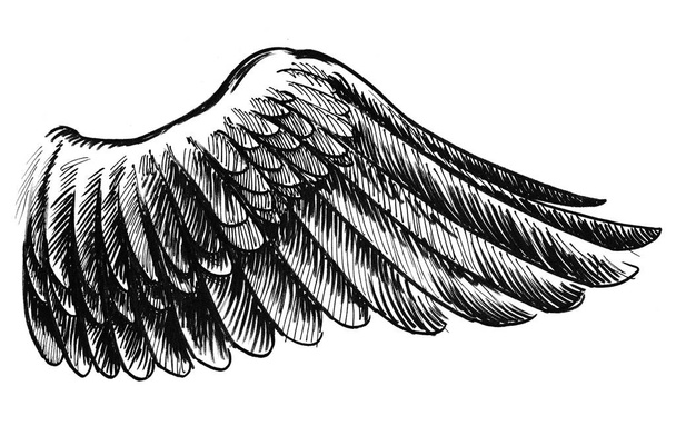 Ala de pássaro. Tinta desenho preto e branco
 - Foto, Imagem