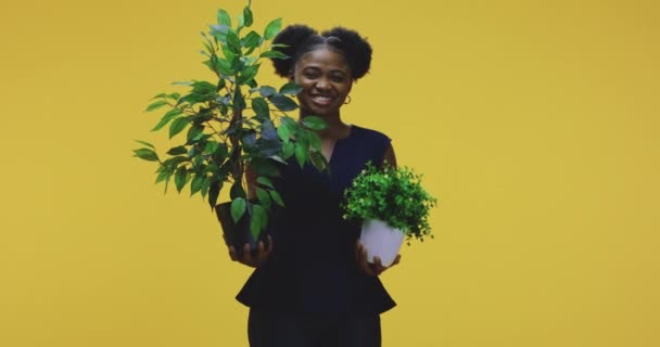 Žena stojící s květináči - Záběry, video