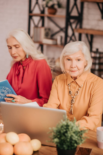 Two grey-haired pleasant ladies sitting at the table - Photo, Image