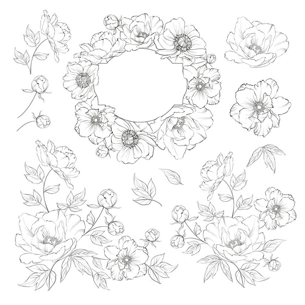 Linear style set of white poppy, hand drawn contour illustration of flowers isolated on a white background. White poppies collection. - Vektor, Bild