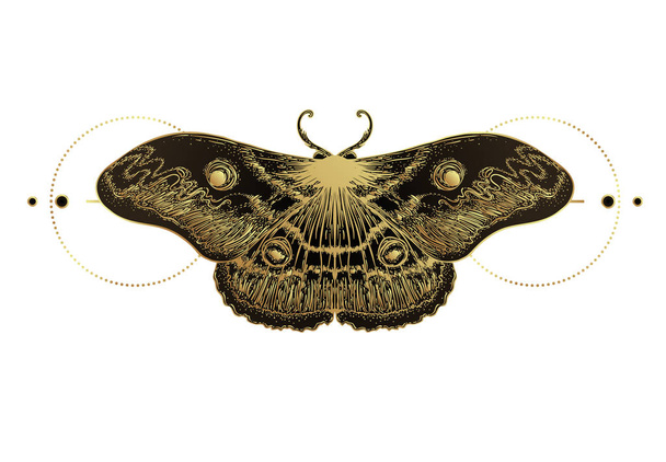 Golden moth over sacred geometry sign, isolated vector illustration. Tattoo flash. Mystical symbols and insects in gold. Alchemy, occultism, spirituality. - Vector, Image
