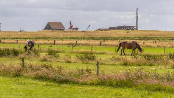 Spiekeroog in East Frisia - Photo, Image