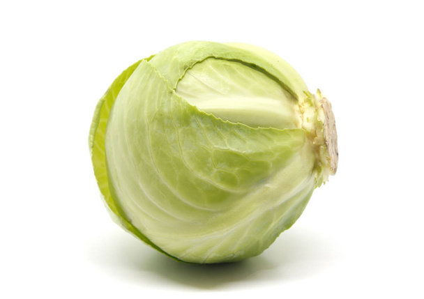 White cabbage on a white background - Zdjęcie, obraz