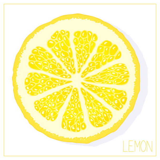 Sílhueta vetorial de fatias de limão. Frutas de desenho isoladas sobre fundo branco
. - Vetor, Imagem