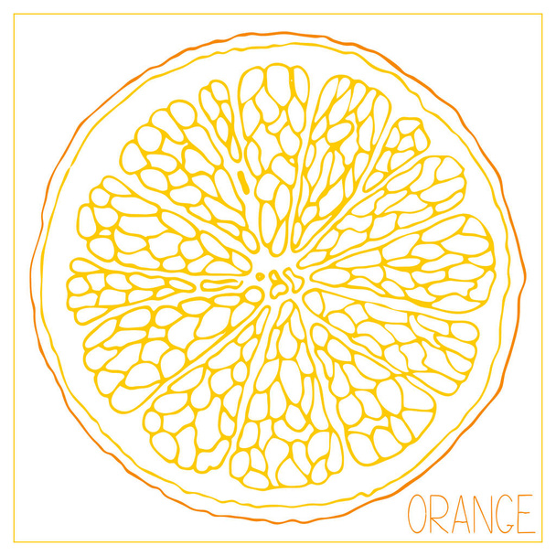 Vector silhouette of an orange slice. Isolated drawing fruit on a white background. - ベクター画像