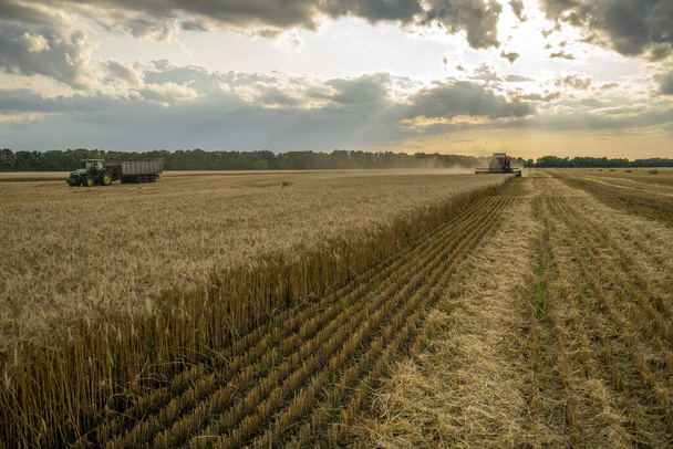 harvesteri poistaa vehnäpellon taustalla auringonlaskun pilvinen taivas
 - Valokuva, kuva