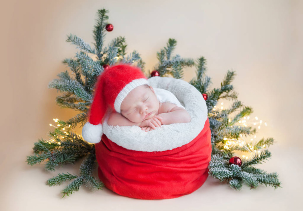 newborn baby in a gnome's crimson hat in Santa's bag, around Christmas tree twigs and Christmas balls, Santa's helper - 写真・画像