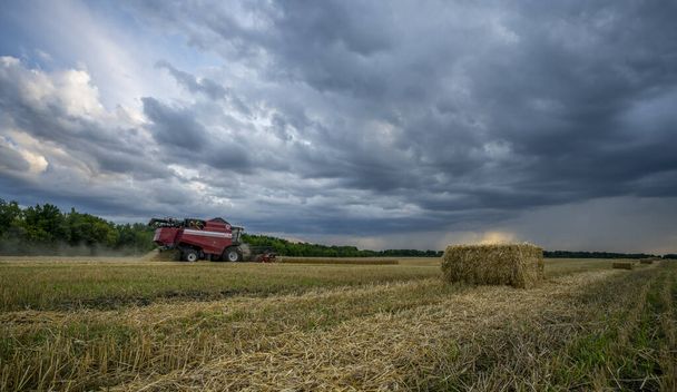 sadonkorjaaja kerää viimeisen viljasadon ukkosmyrskyn aikana
 - Valokuva, kuva