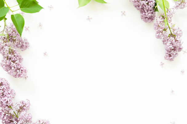 Orgonavirág fehér háttérrel. Tavaszi virágok. Felülnézet, lapos fekvés, másolás. - Képet. - Fotó, kép
