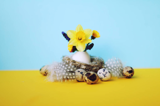 Easter background with daffodils and eggs,nest,bunny - Foto, Bild