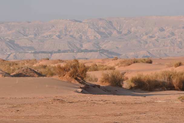 Dunas de arena en Jordania. Desierto en la Ruta Real
. - Foto, imagen