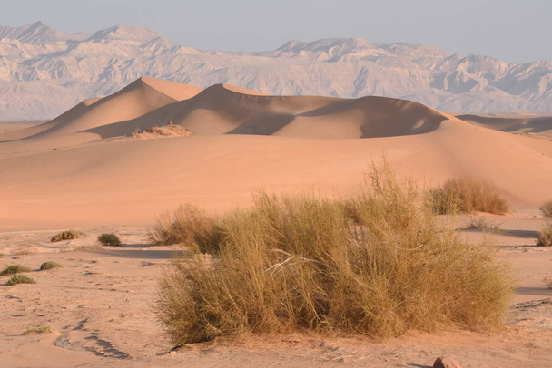 Αμμόλοφοι στην Ιορδανία. Έρημος στη Βασιλική Διαδρομή. - Φωτογραφία, εικόνα
