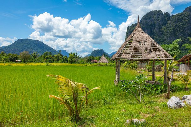 Risaie verdi e montagne, Vang Vieng, Laos, Asi sud-est
 - Foto, immagini