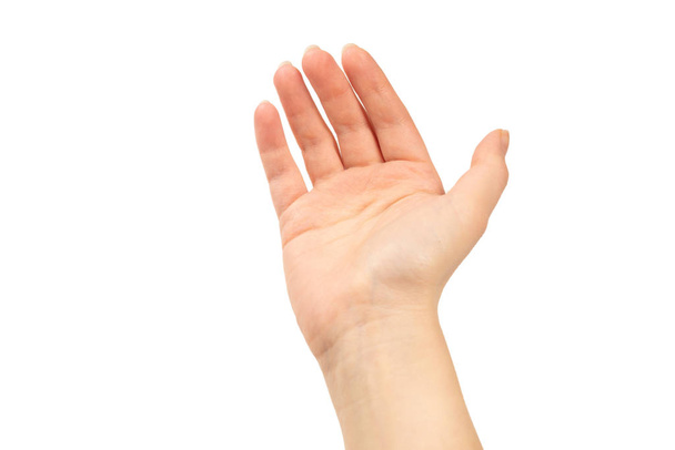 Hand van de vrouw geïsoleerd op wit - Foto, afbeelding