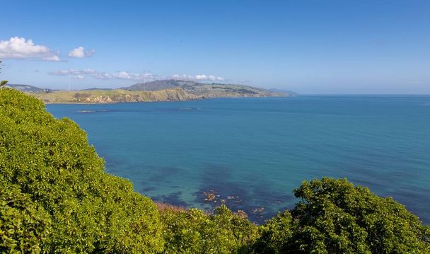 Beautiful view of the ocean and the mountains captured in the suburbs of Wellington, New Zealand - Φωτογραφία, εικόνα