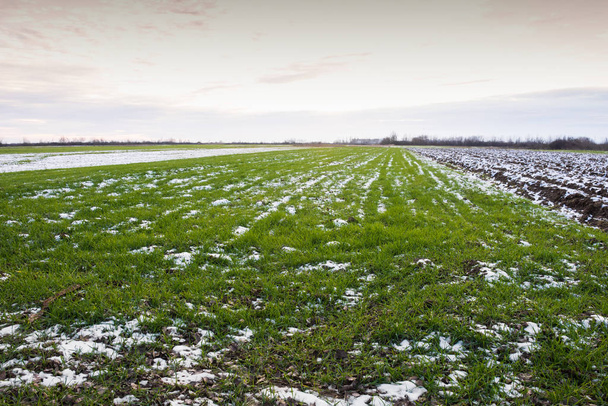 Wintergeploegd veld onder de blauwe hemel - Foto, afbeelding
