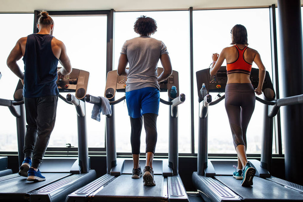 Young fit people running on a treadmill in health club. - Valokuva, kuva