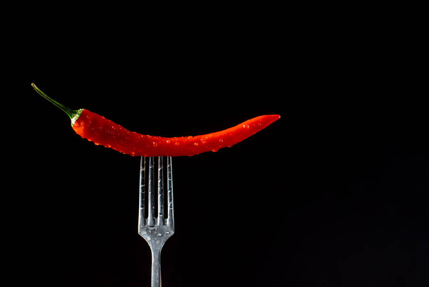 Red hot chili pepper on vintage silver fork over black background. Glossy juicy hot chili peppers on silver fork on black background. - Фото, изображение