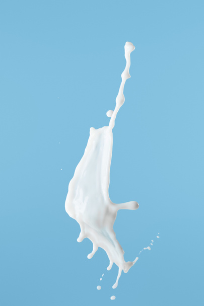 fresh white milk splash isolated on blue - Foto, afbeelding