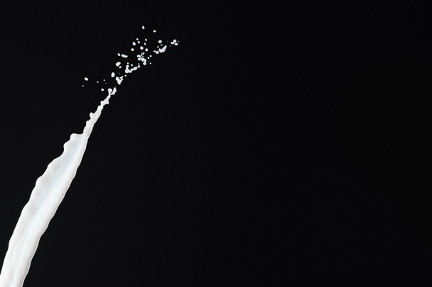 брызги белого молока, выделенные на черном
 - Фото, изображение